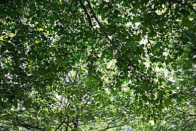 构建迷宫合作RPG《Dream's Reach》Steam今日发售